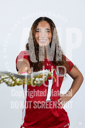 _AMB3293