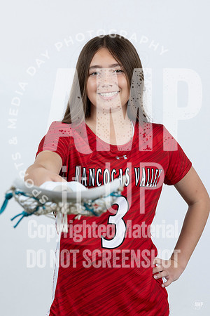 _AMB3610