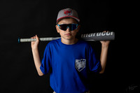 _AMB3313
