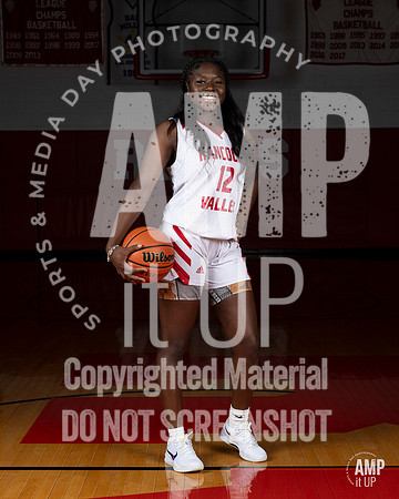 _AMB1811