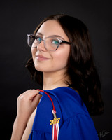 _AMB3497