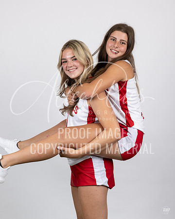 _AMB2618
