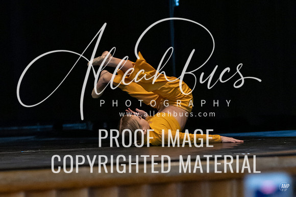 _AMB8519