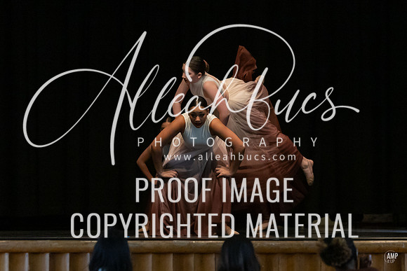 _AMB8668