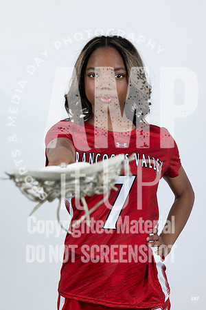 _AMB3816