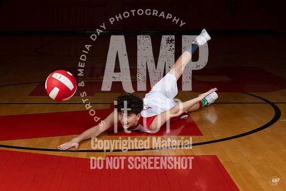 _AMB2193
