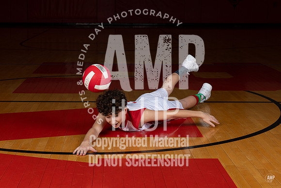 _AMB2195