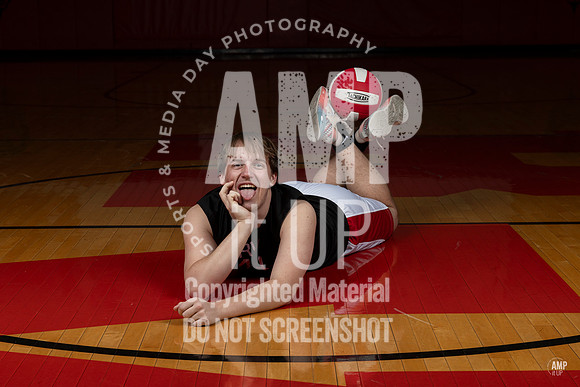 _AMB2208